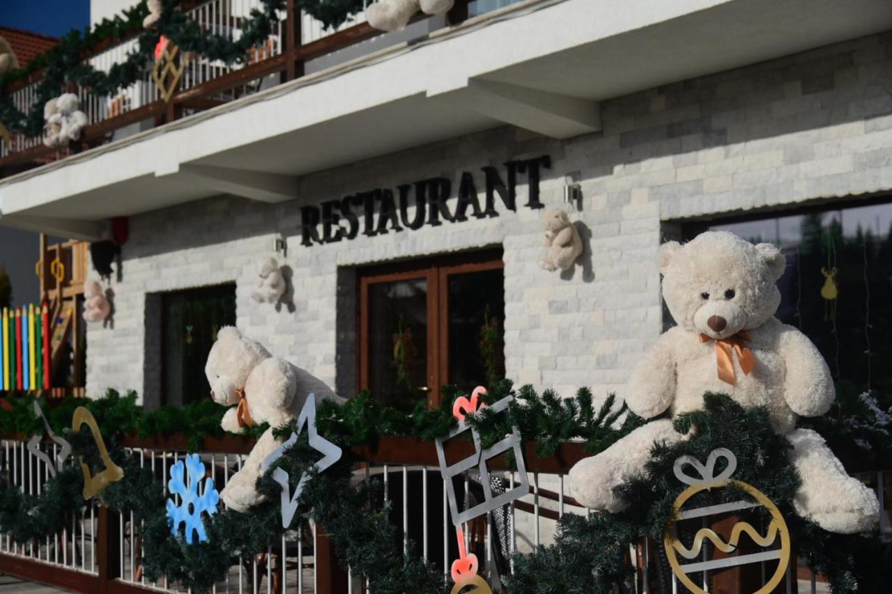 Pensiune Rara Păltiniş Exteriér fotografie