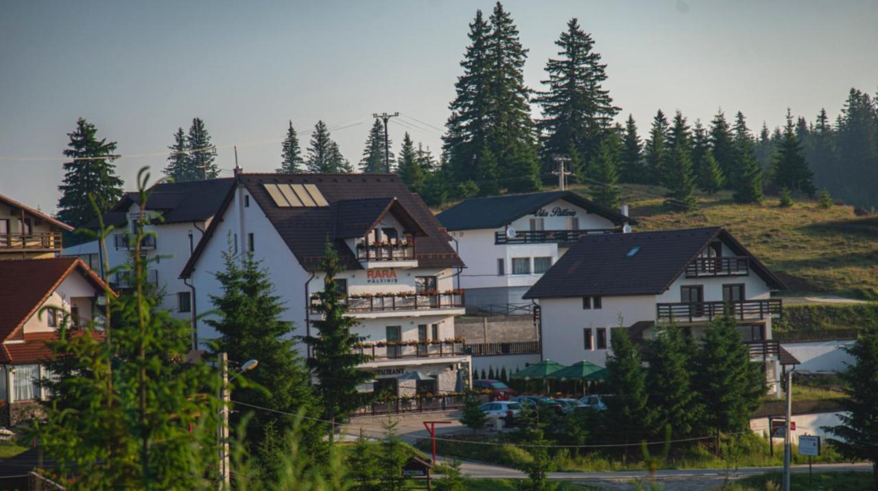 Pensiune Rara Păltiniş Exteriér fotografie