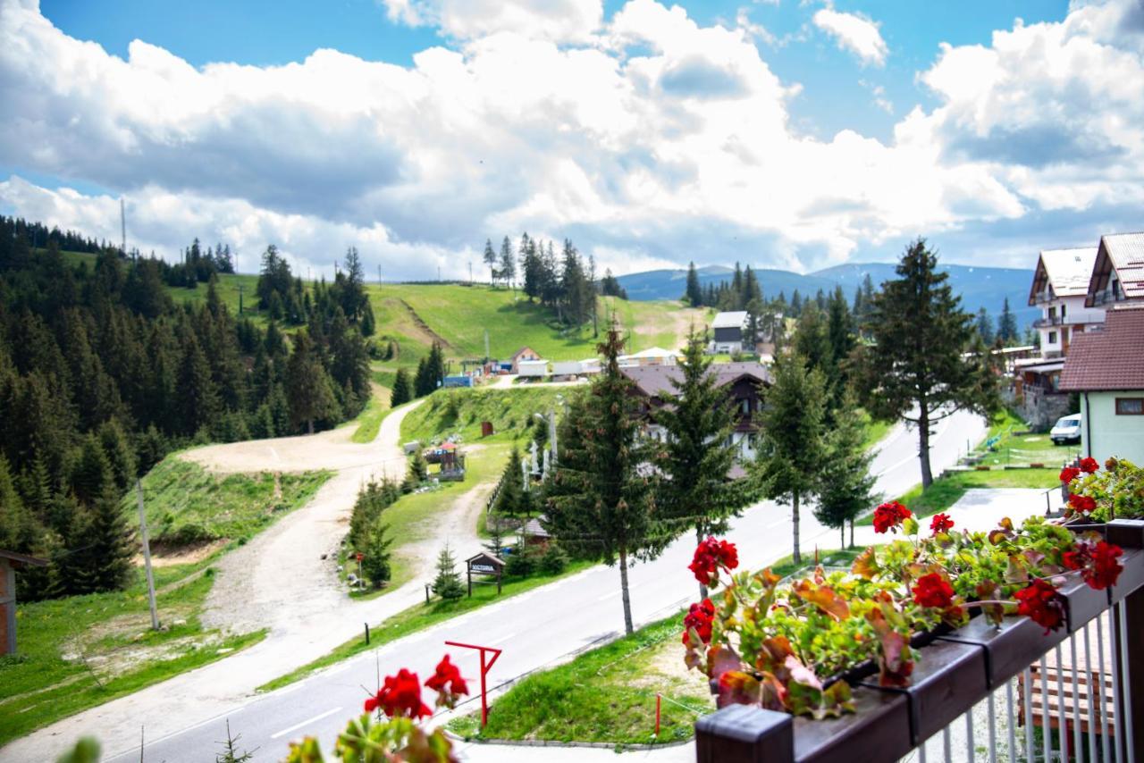 Pensiune Rara Păltiniş Exteriér fotografie