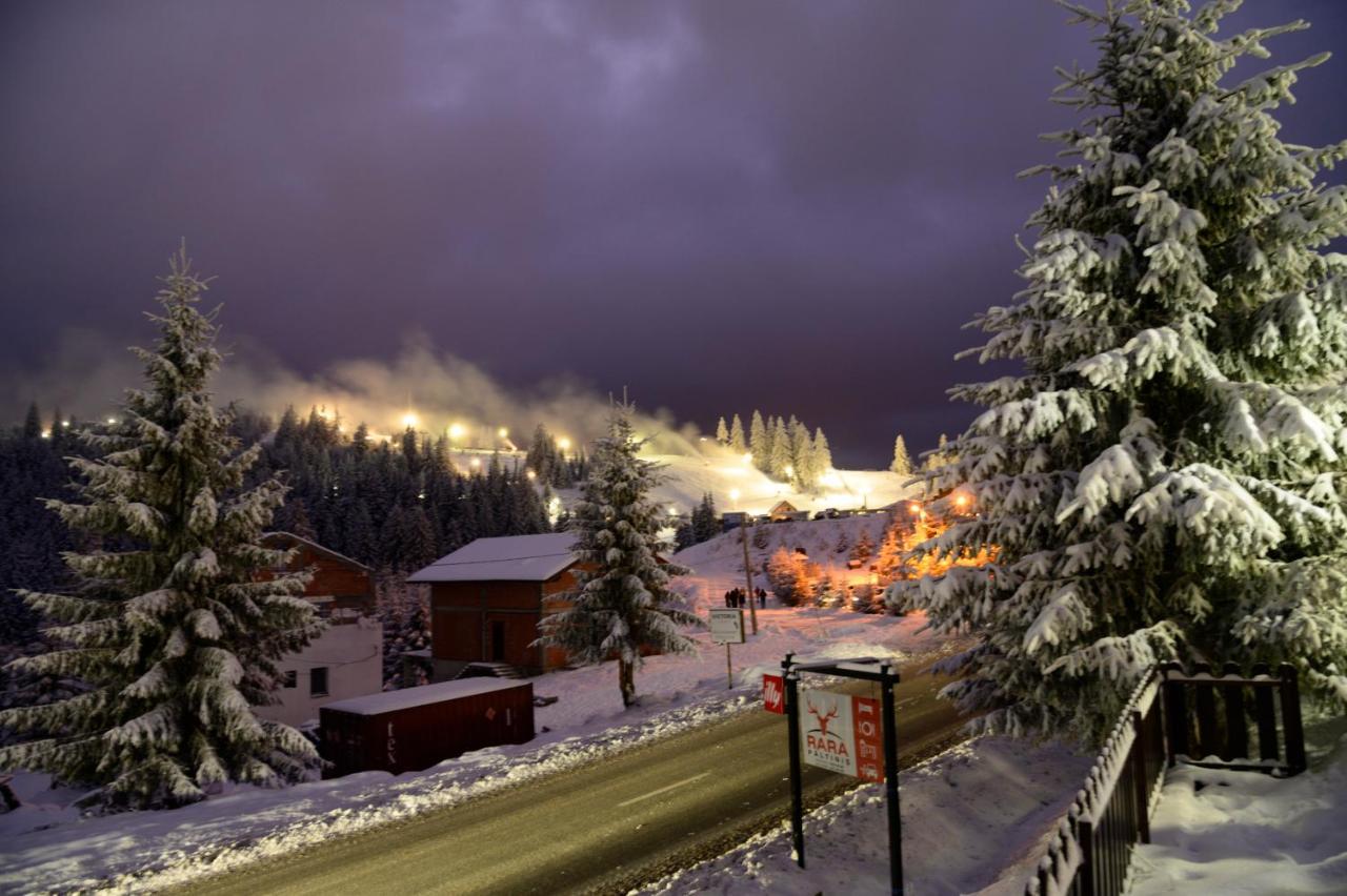 Pensiune Rara Păltiniş Exteriér fotografie